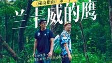 欢乐打砖块2选关版
